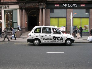 SPCA Car Advertisement - Glasgow,Scotland 