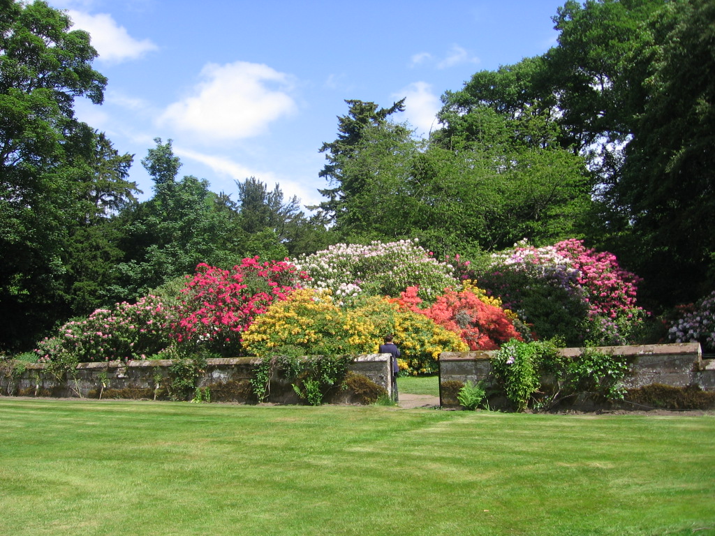 Scone Palace Garden, Perthshire,Scotland